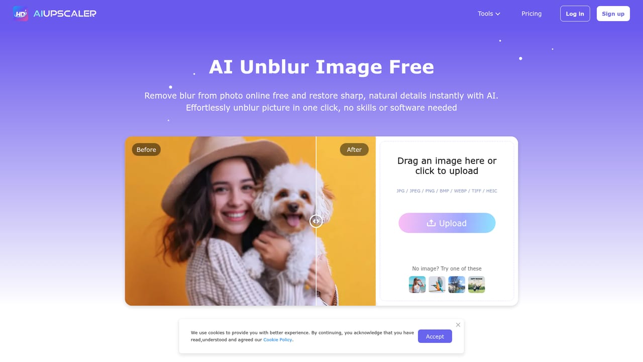 AI Upscaler — Pick a specialised tool if needed