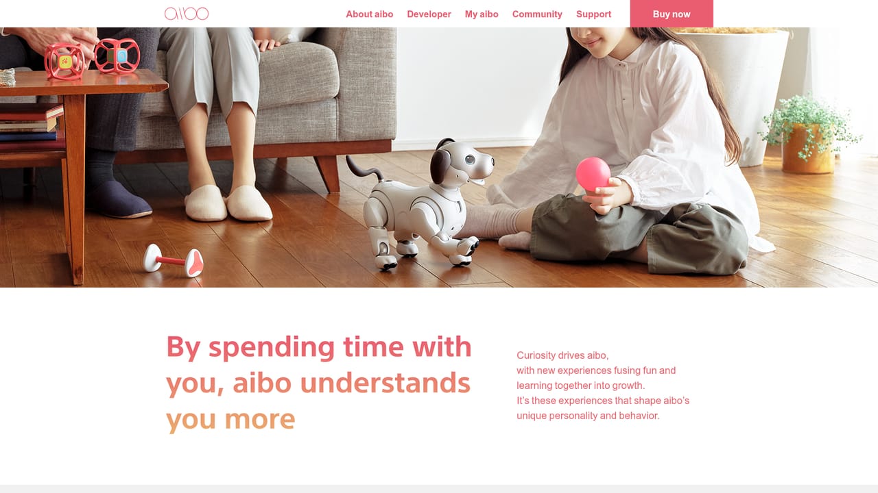 AIBO — Teach the name and let it learn the household
