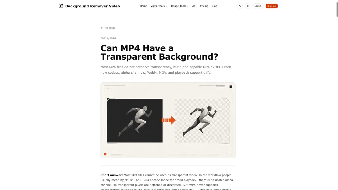 Background Remover Video — Choose background and format