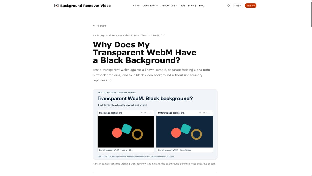 Background Remover Video — Download and fix playback issues