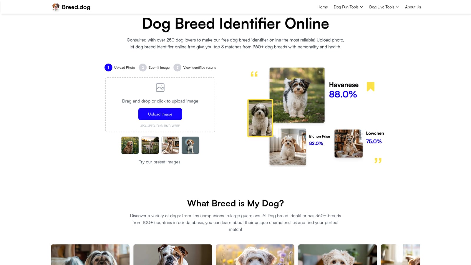Breed.dog — Open the identifier and choose a photo