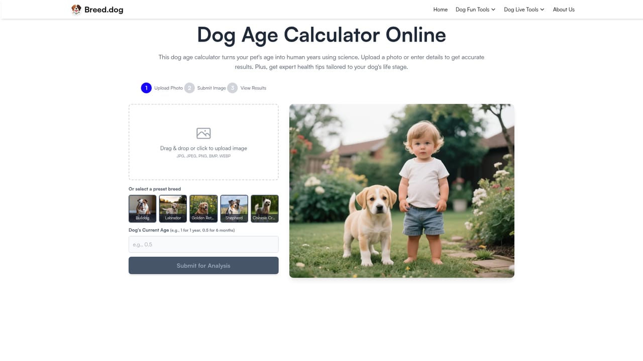 Breed.dog — Explore the related dog tools