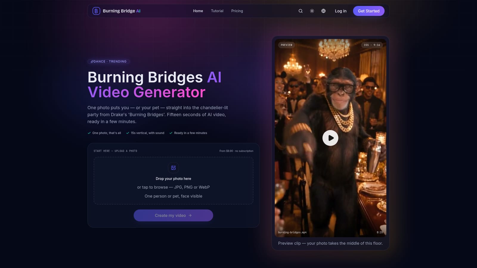 Burning Bridge AI — Upload a clear photo