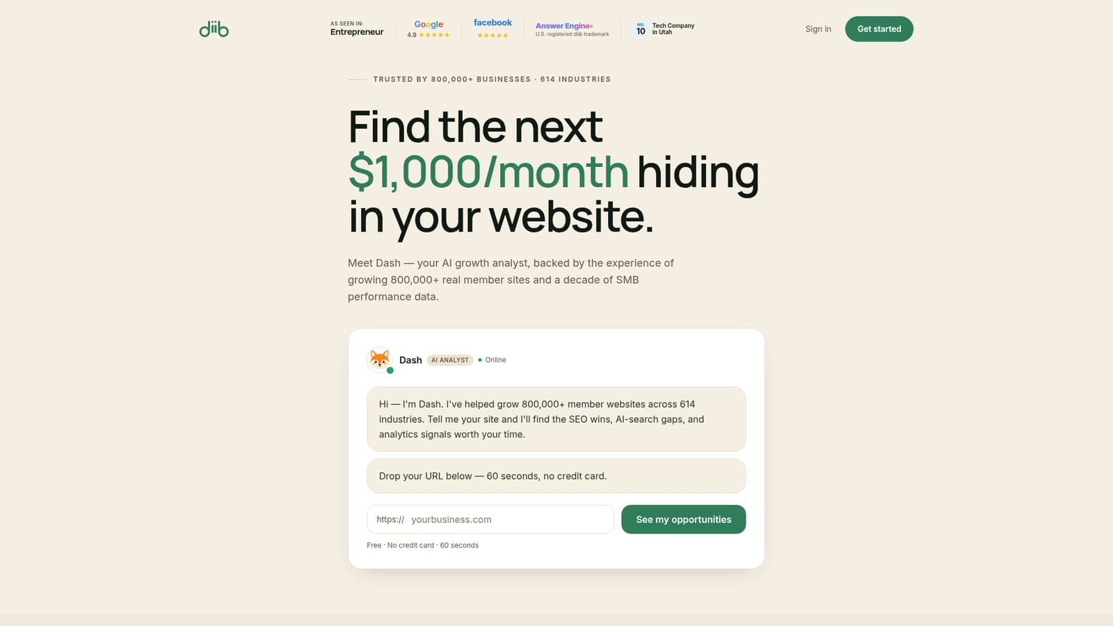 diib — Open diib and start the free scan