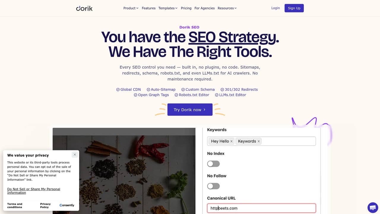Dorik AI — Connect a domain and publish