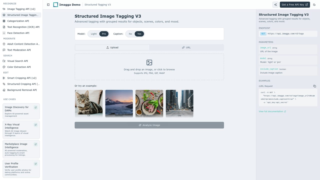 Imagga — Try the demos before writing code