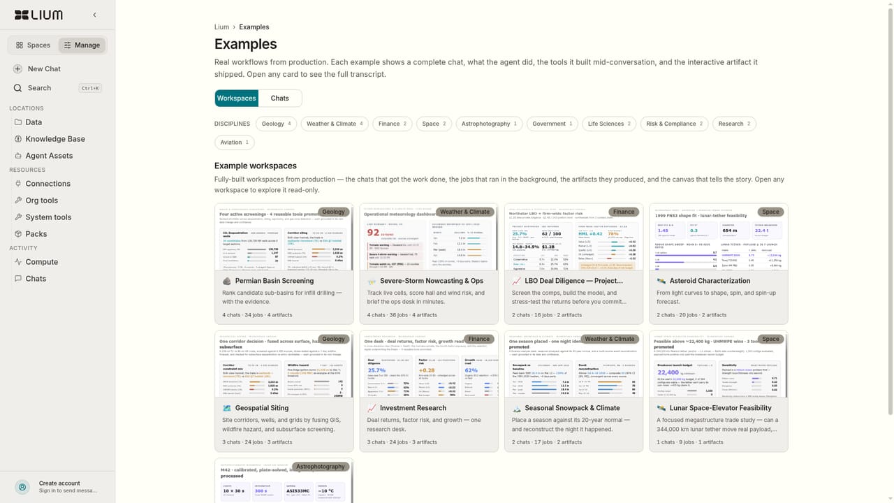 Lium AI — Study a finished example