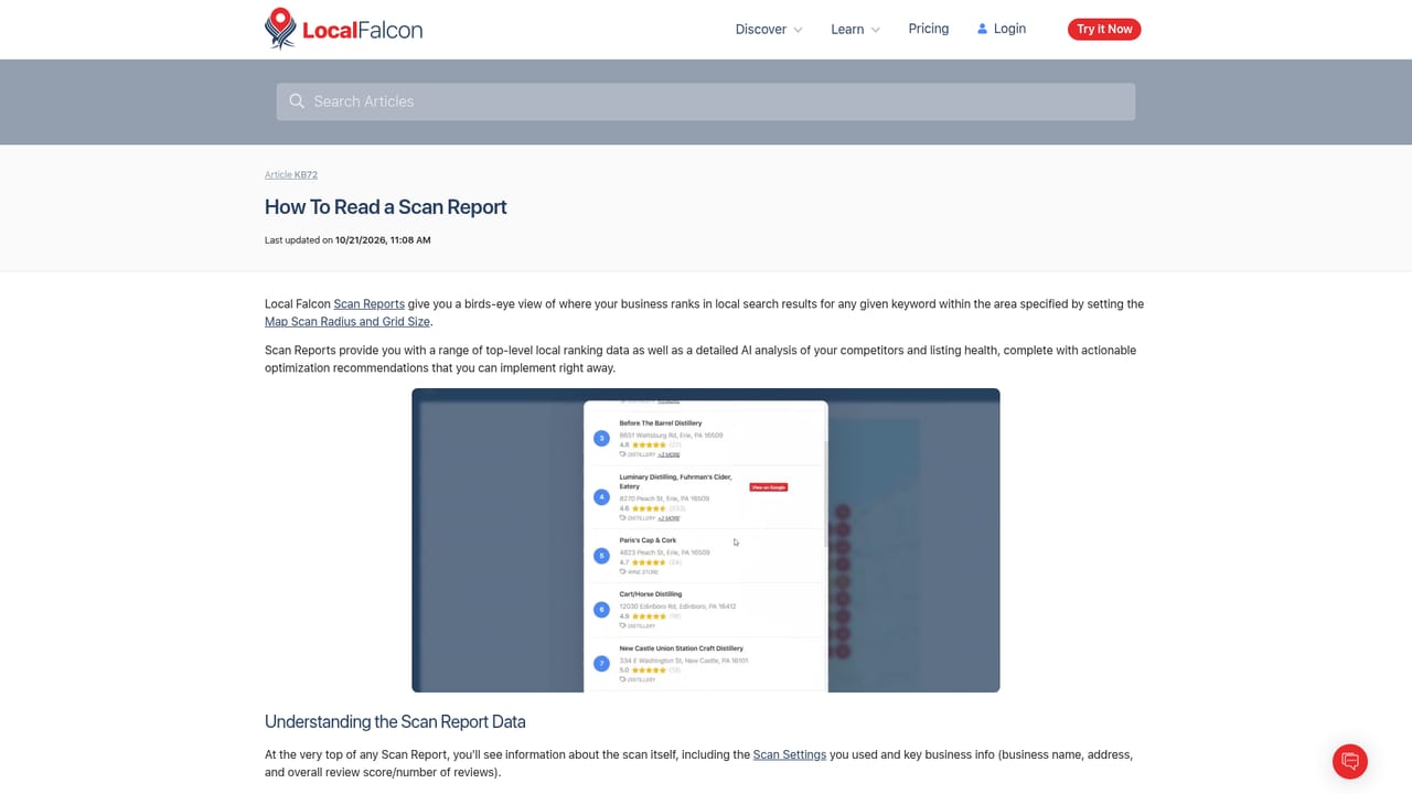 Local Falcon — Run the scan and read the report