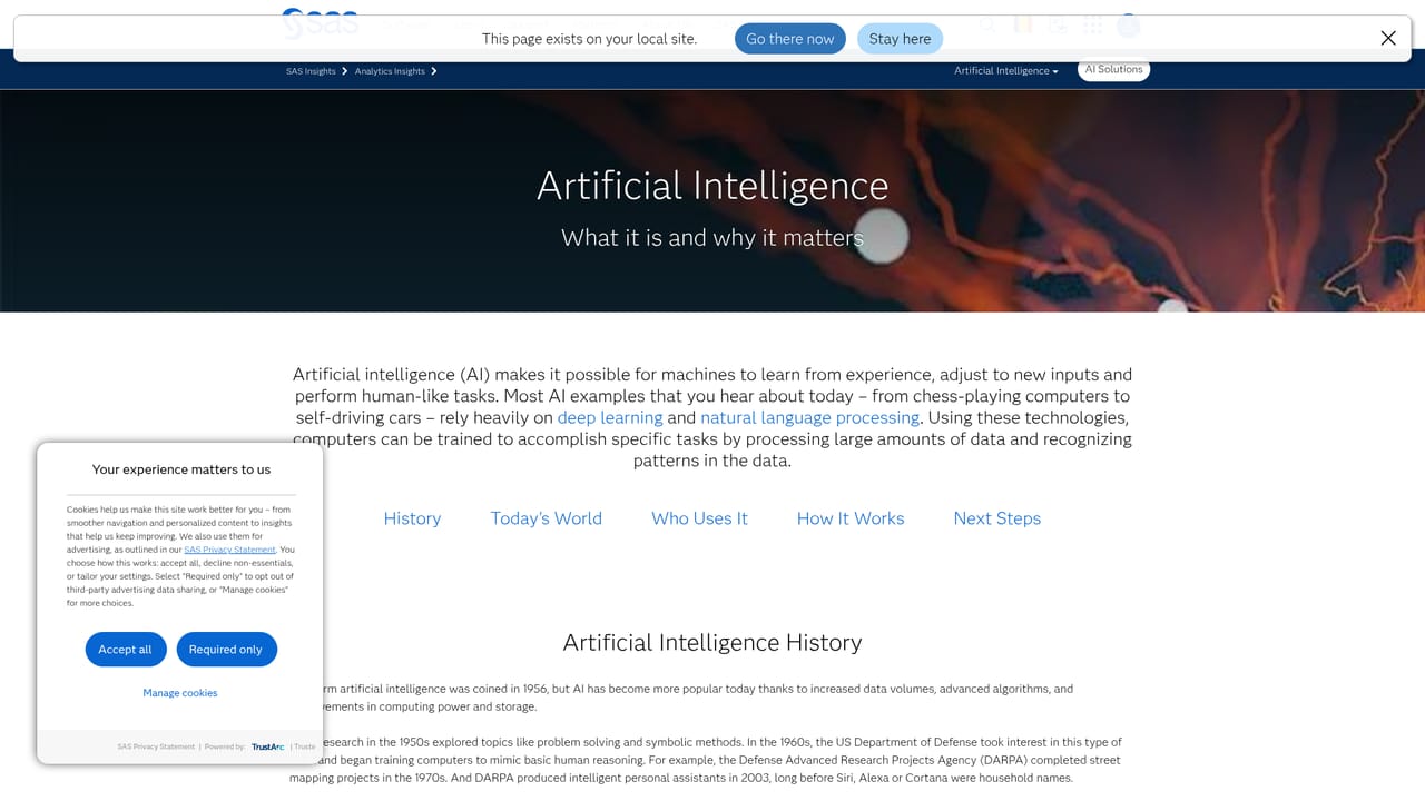SAS AI — Read the AI overview to understand composite AI