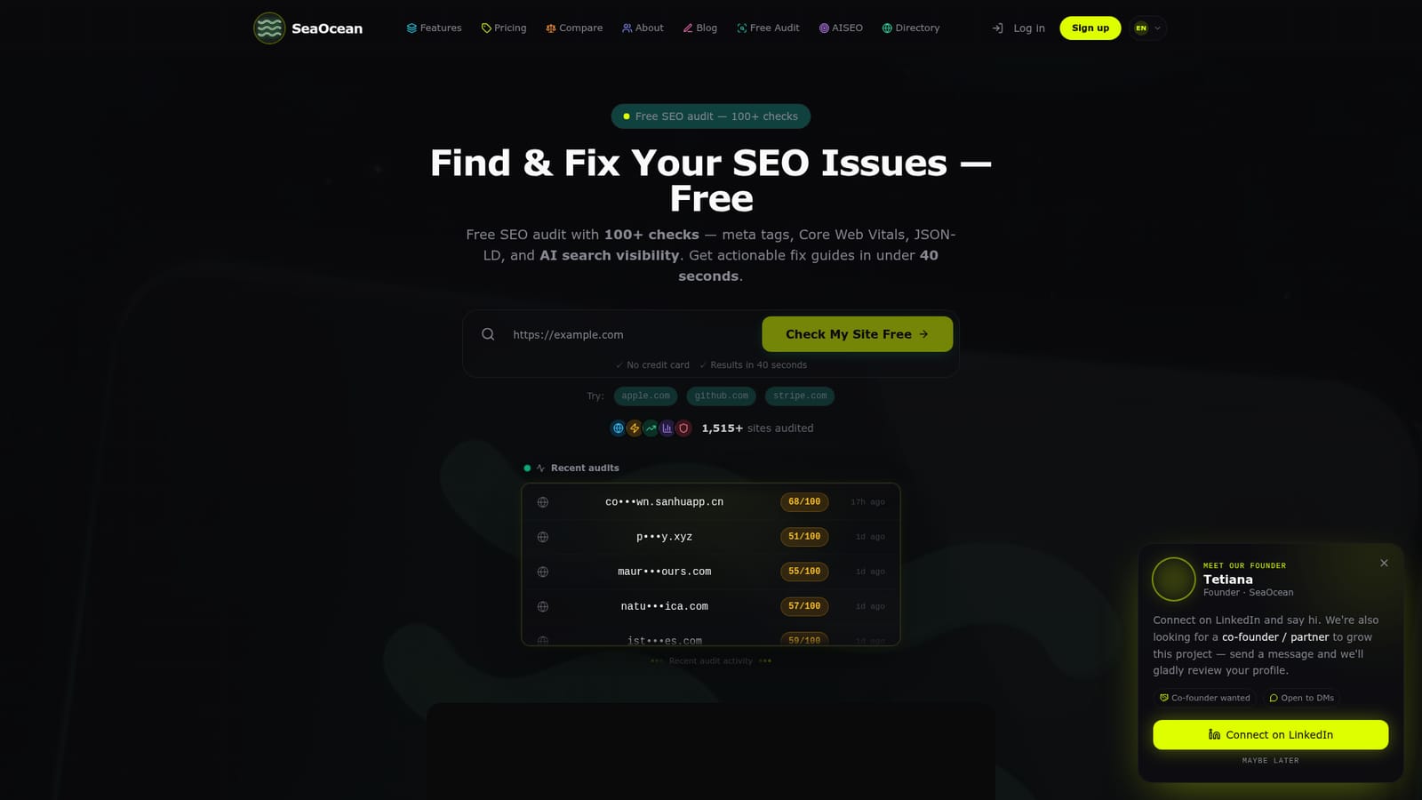 SeaOcean — Run a free audit on your URL