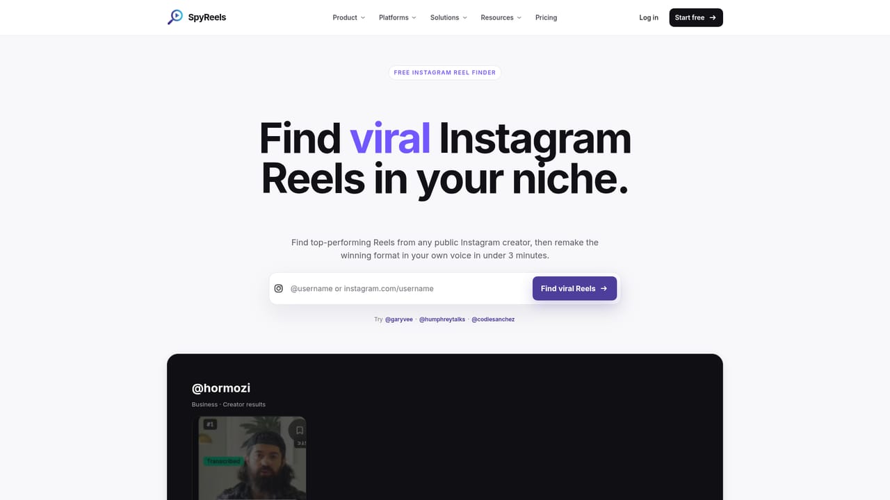 SpyReels — Run a creator lookup