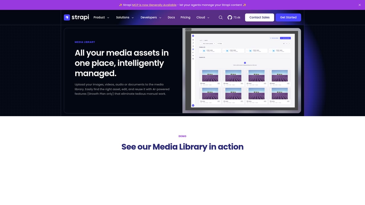Strapi — Enrich media automatically