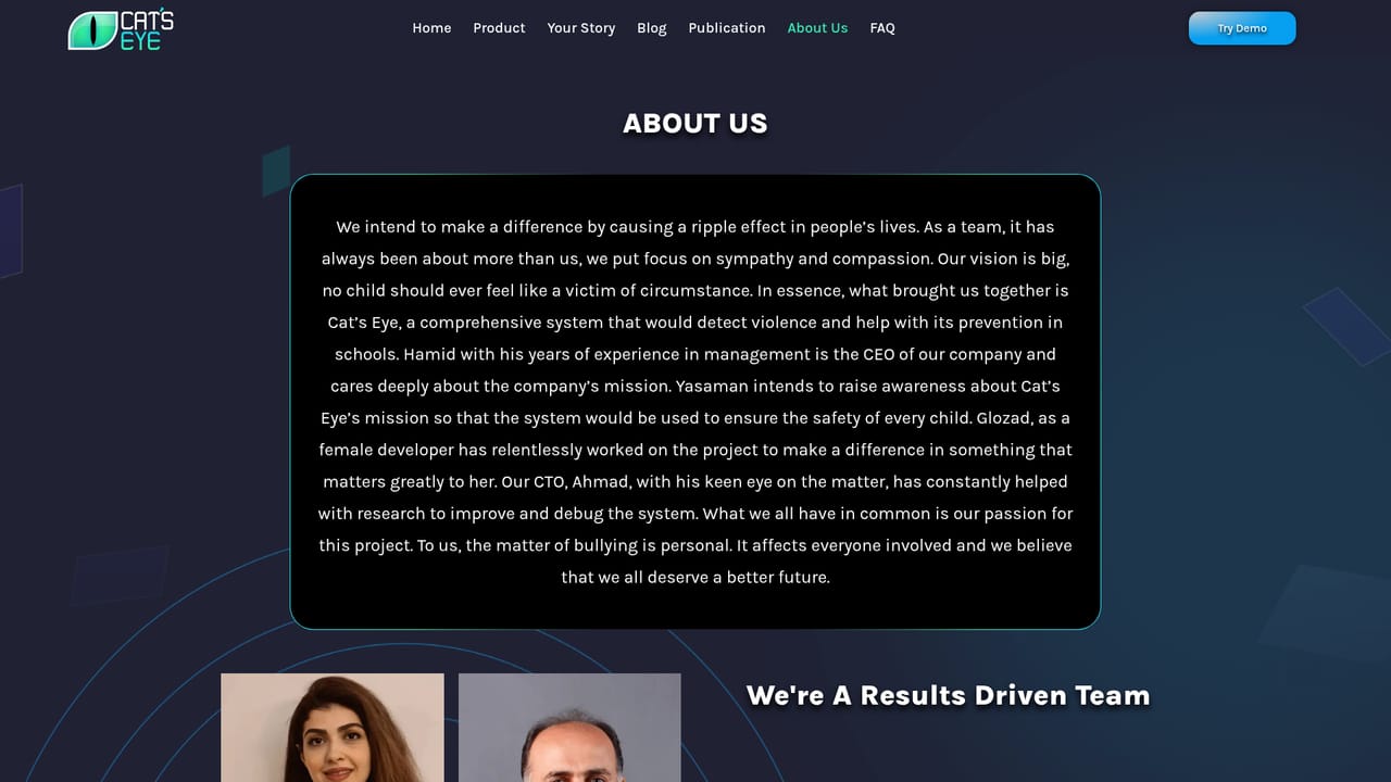 The Cat's Eye Smart Systems — Review the company background