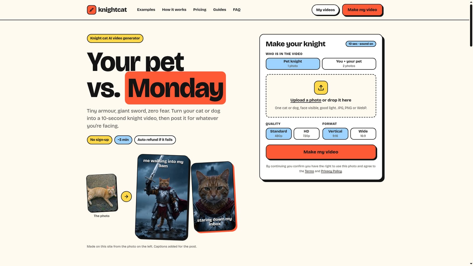 TryKnightCatAI — Upload a clear photo of your pet