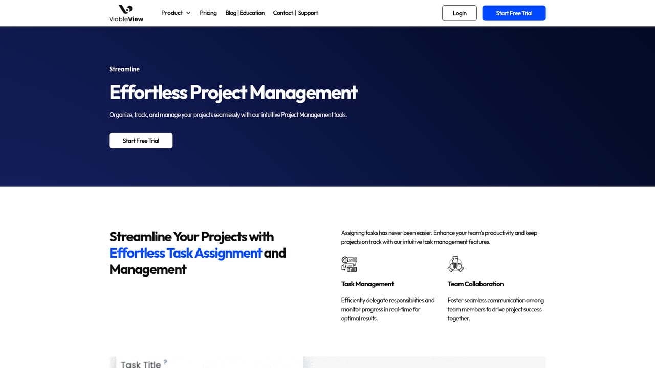 ViableView — Organize the launch with project management