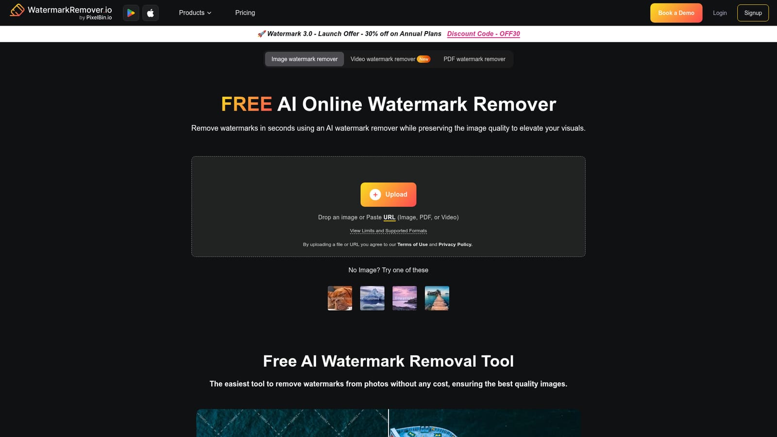 Watermark Remover — Choose the file type