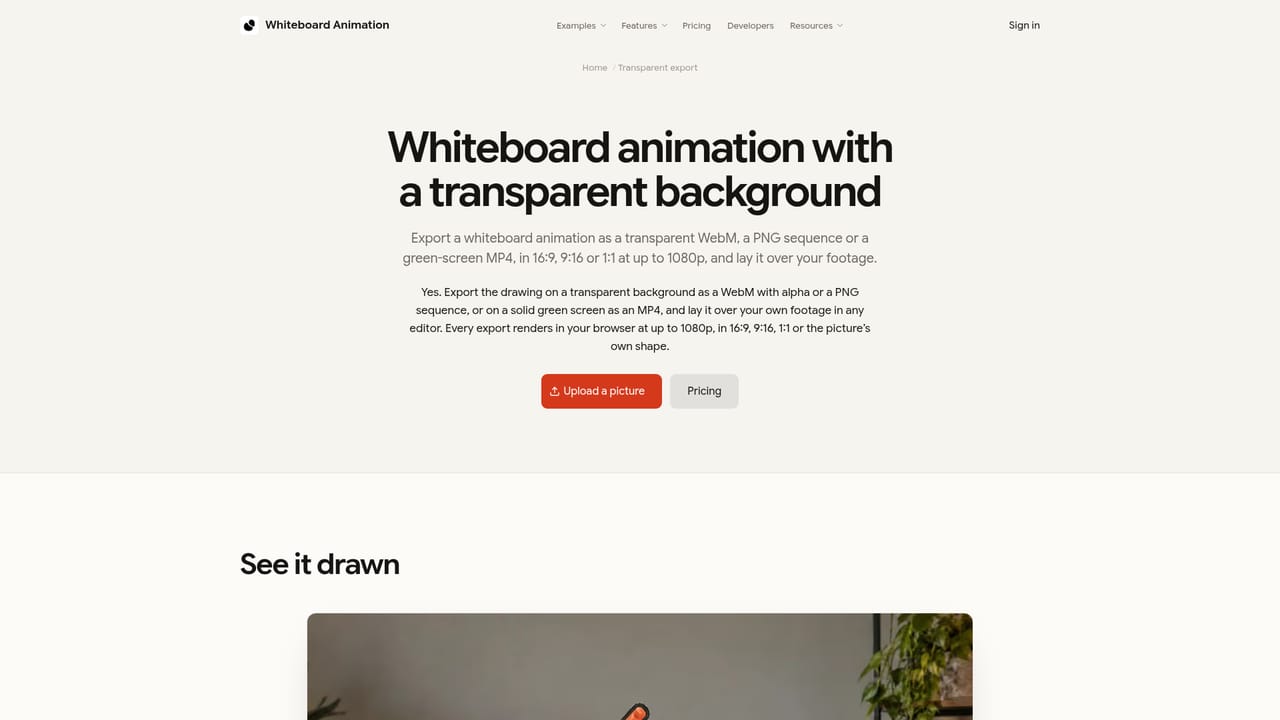 Whiteboard Animation Maker — Export for your edit