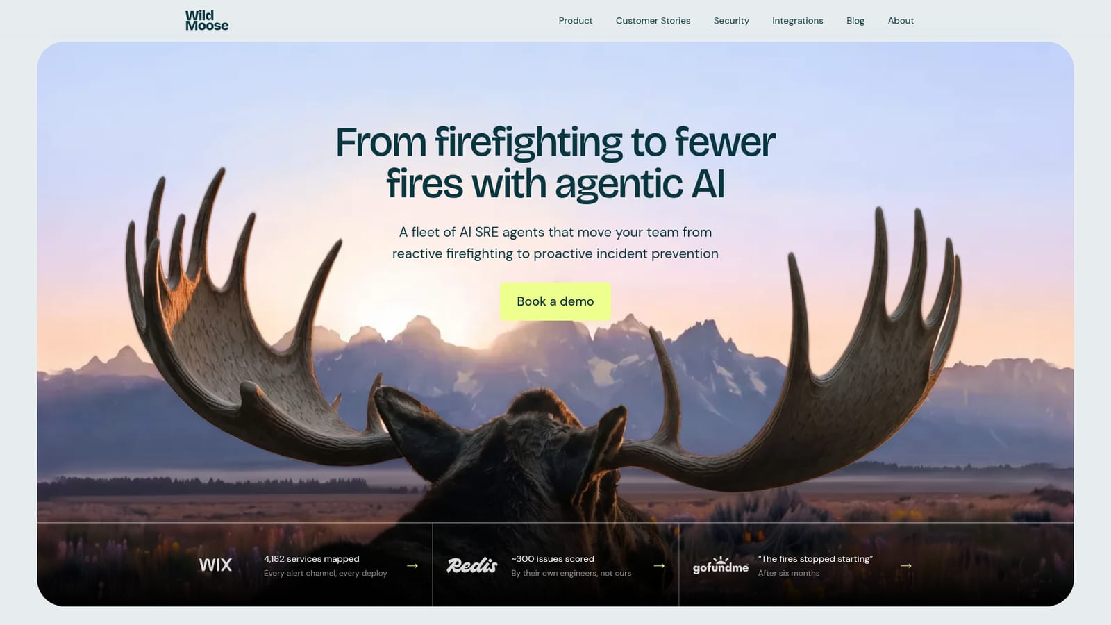 Wild Moose — Book a demo with the Wild Moose team